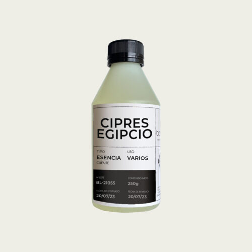 Cipres Egipcio